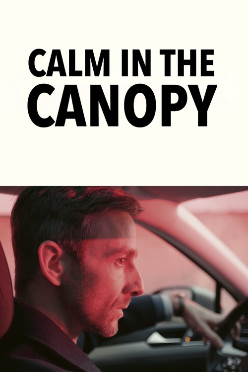 Movie poster for Calm in the Canopy (2024)