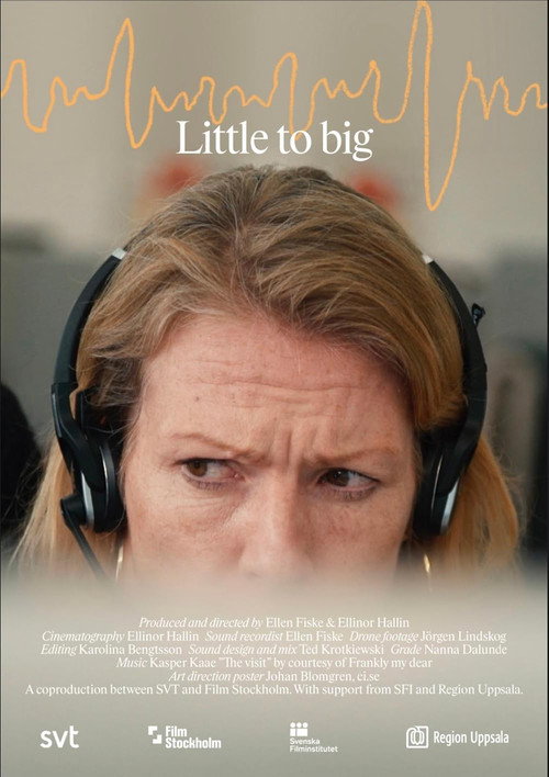 Movie poster for Little to Big (2022)