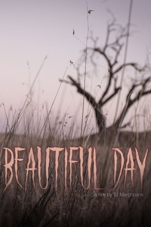 Movie poster for Beautiful Day (2020)