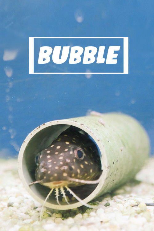 Movie poster for Bubble (2020)