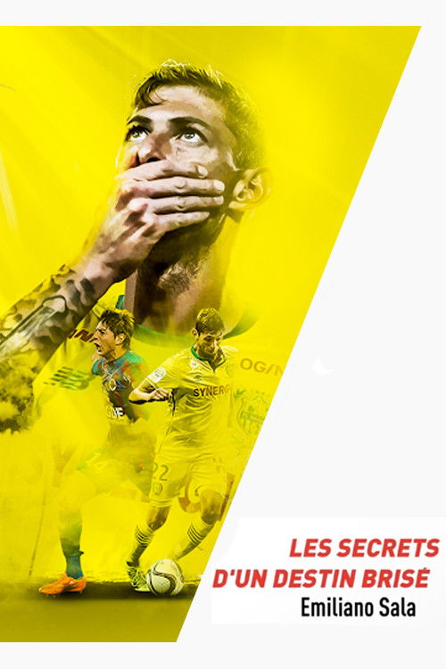 Movie poster for Emiliano Sala, les secrets d'un destin brisé (2019)