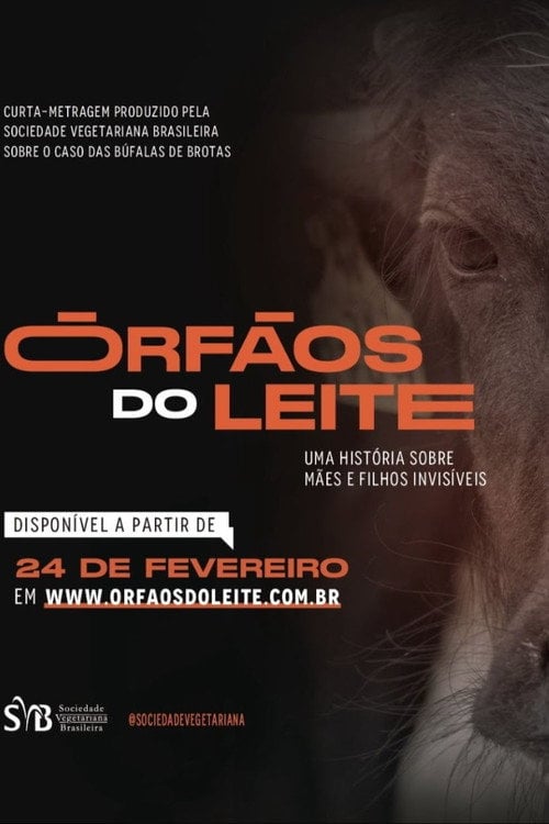 Movie poster for Órfãos do Leite: Uma história sobre mães e filhos invisíveis