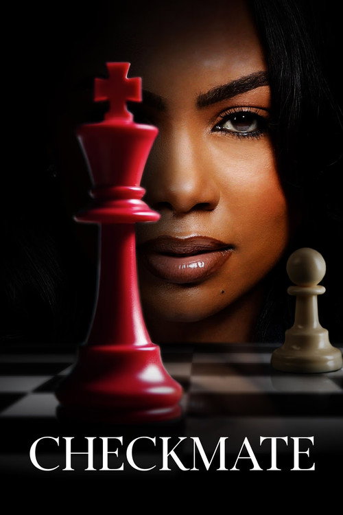 Movie poster for CheckMate (2025)