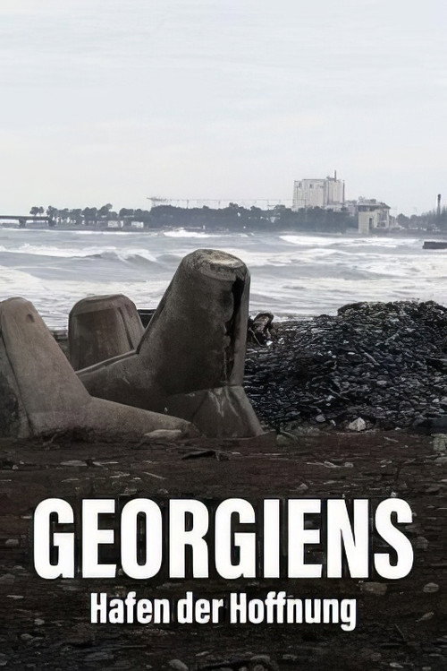 Movie poster for Géorgie - Le port de tous les enjeux (2022)
