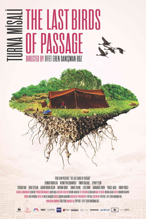 Movie poster for The Last Birds of Passage (2021)