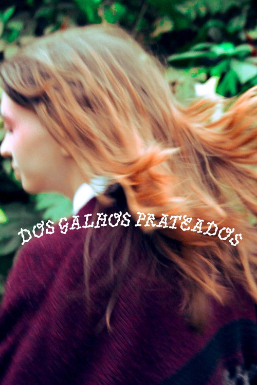 Movie poster for Dos Galhos Prateados (2023)