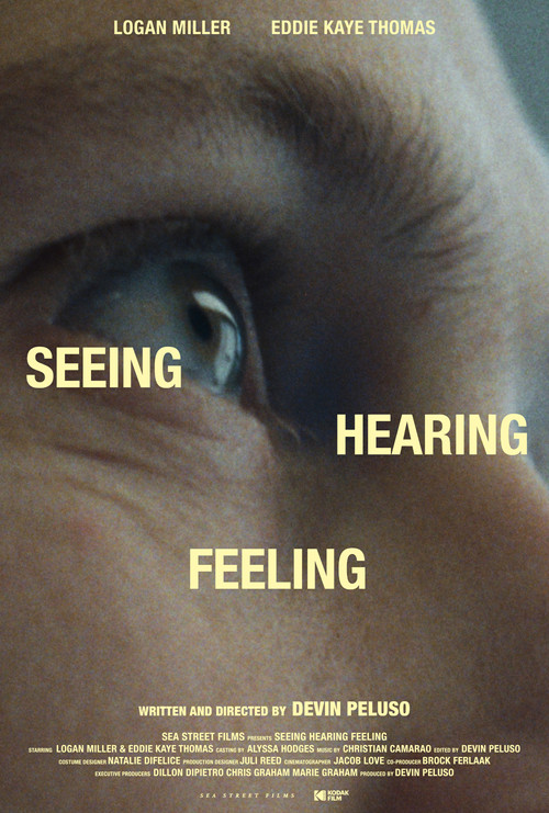 Movie poster for Seeing Hearing Feeling