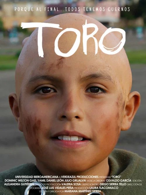 Movie poster for TORO (2019)
