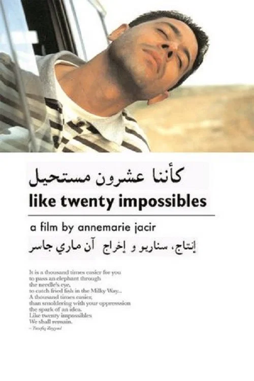 Movie poster for Like Twenty Impossibles (2003)