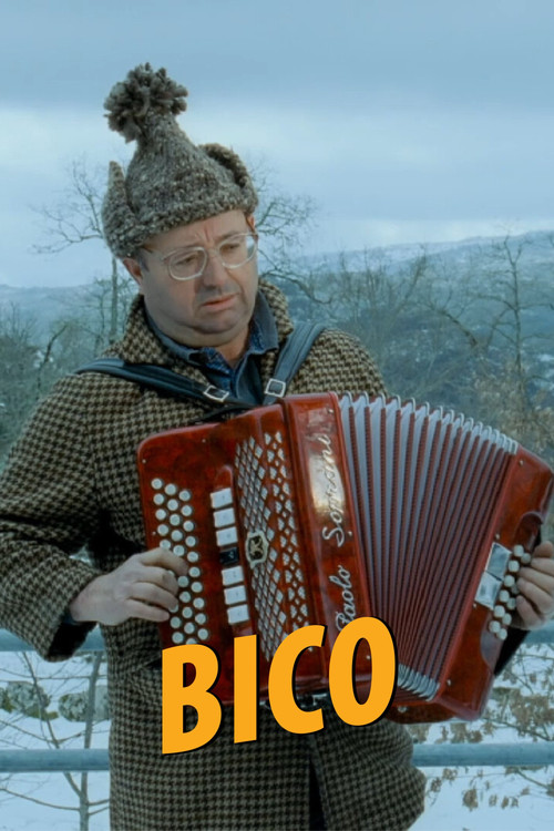 Movie poster for Bico (2004)