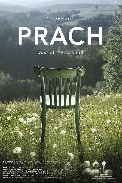 Movie poster for Dust of the Ground (2016)
