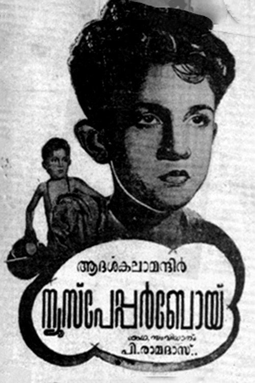 Movie poster for Newspaper Boy (1955)