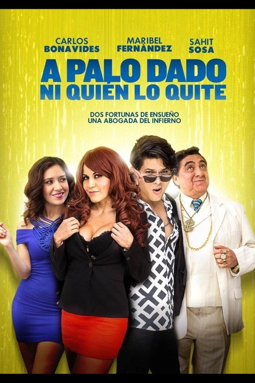 Movie poster for A Palo dado ni quien lo quite (2017)