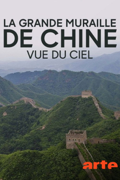 Movie poster for Flying the Great Wall (2018)