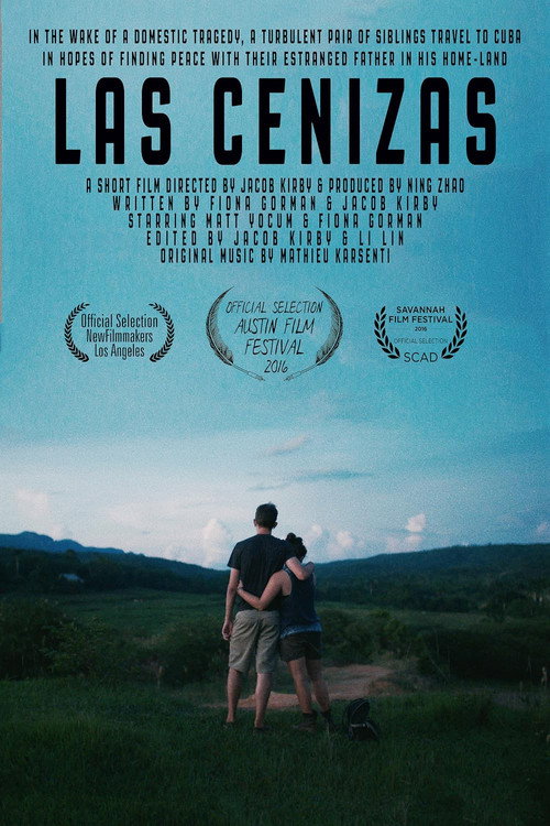 Movie poster for The Ashes (2016)