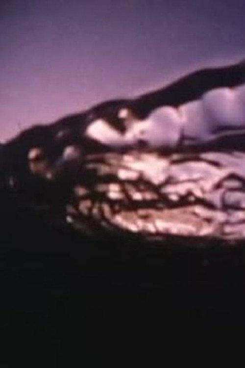 Movie poster for Echoes (1973)