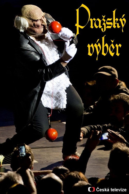 Movie poster for Pražský výběr (2016)