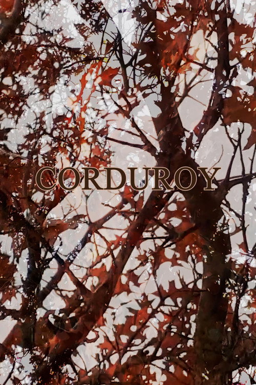 Movie poster for Corduroy (2022)