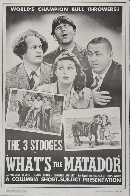 Movie poster for What's the Matador? (1942)
