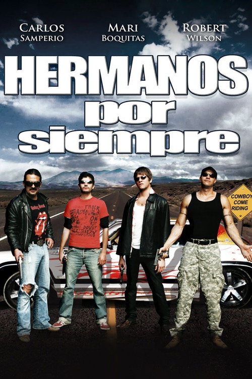 Movie poster for Cowboys Come Riding (2008)