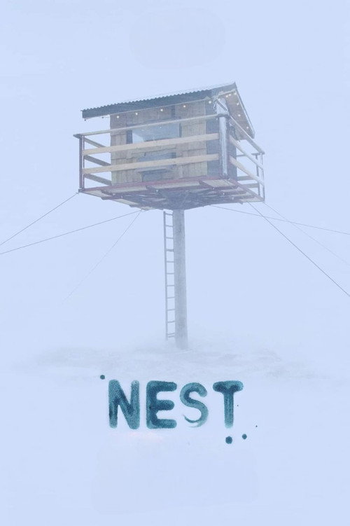 Movie poster for Nest (2022)