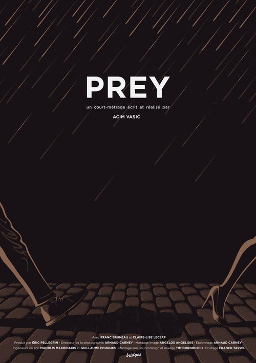 Movie poster for Prey (2018)