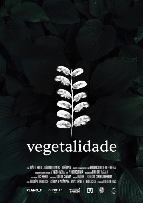 Movie poster for Vegetalidade (2025)