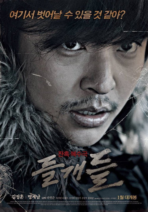 Movie poster for Stray Dogs (2014)