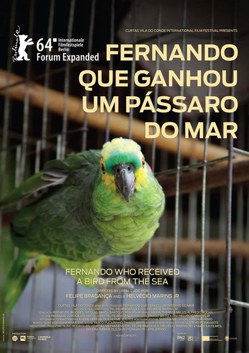 Movie poster for Fernando Who Received a Bird from the Sea (2014)