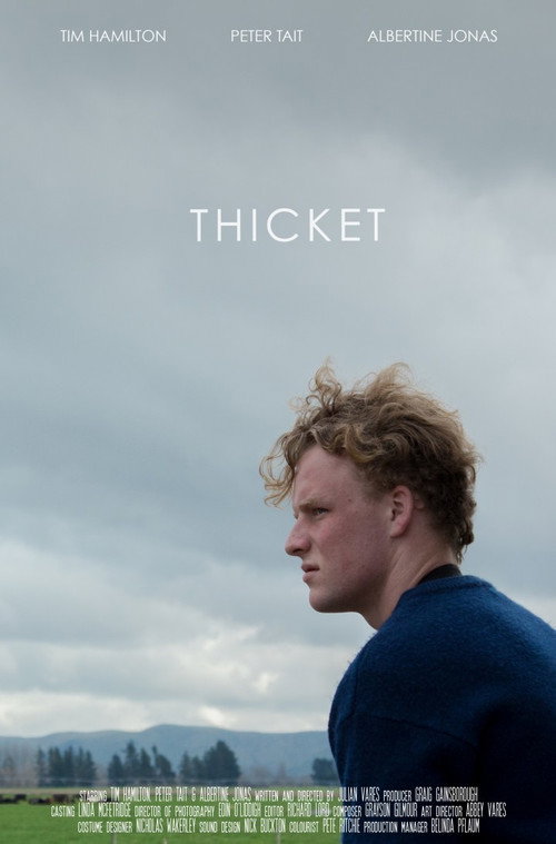 Movie poster for Thicket (2017)