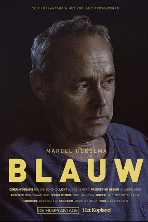 Movie poster for Blauw (2015)