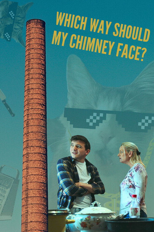 Movie poster for Which Way Should My Chimney Face? (2025)
