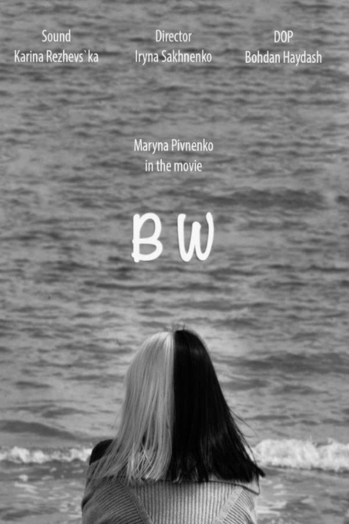 Movie poster for BW (2020)