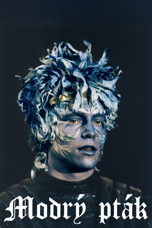 Movie poster for Modrý pták (1993)