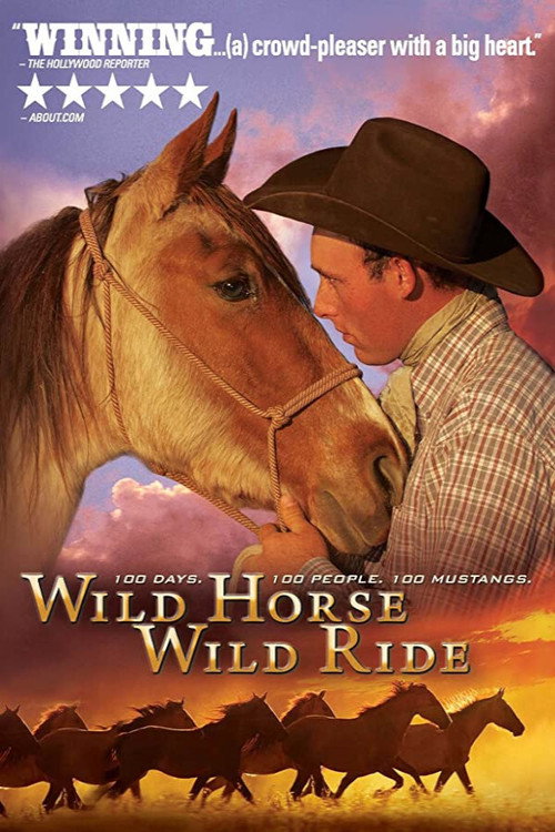 Movie poster for Wild Horse, Wild Ride (2012)