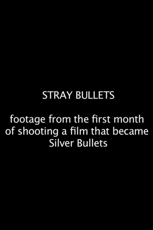 Movie poster for Stray Bullets (2012)