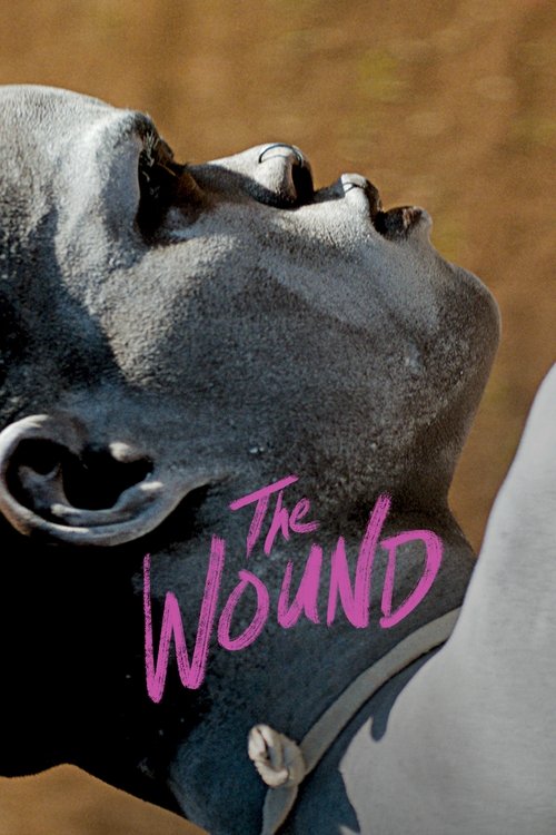 Movie poster for The Wound (2017)