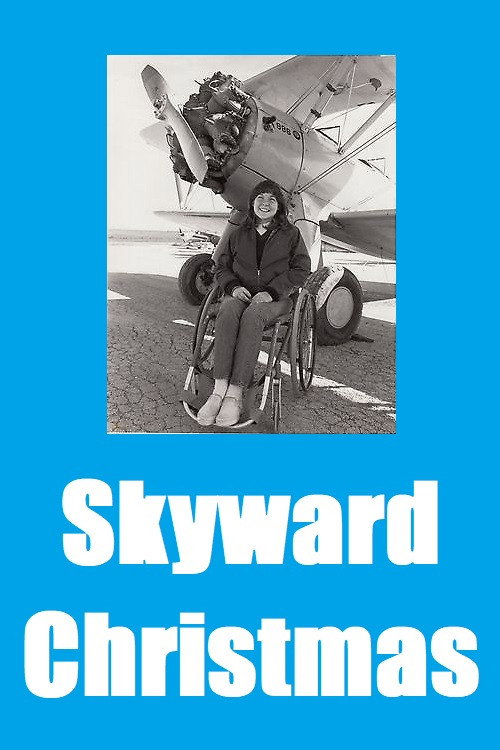 Movie poster for Skyward Christmas (1981)