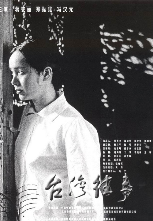 Movie poster for My Bittersweet Taiwan (2004)