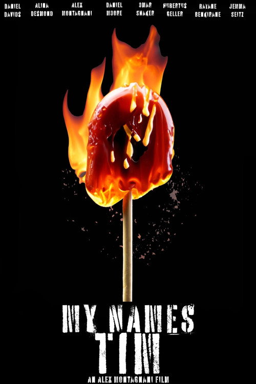 Movie poster for My Names Tim