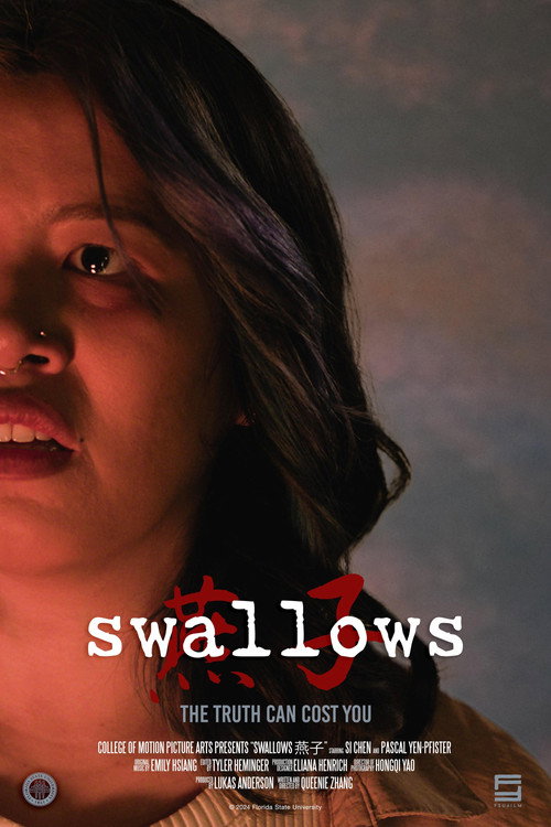 Movie poster for swallows燕子 (2024)