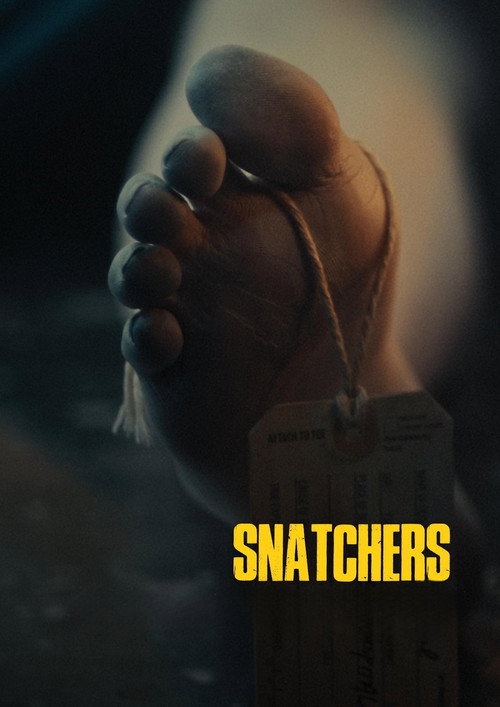 Movie poster for Snatchers (2025)