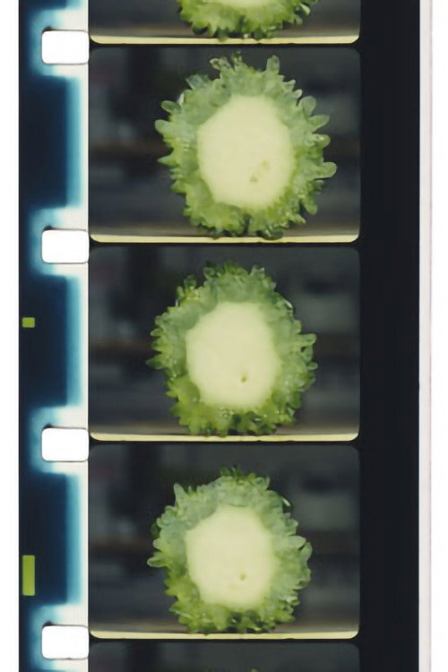 Movie poster for Chopping Fruits and Vegetables (2016)