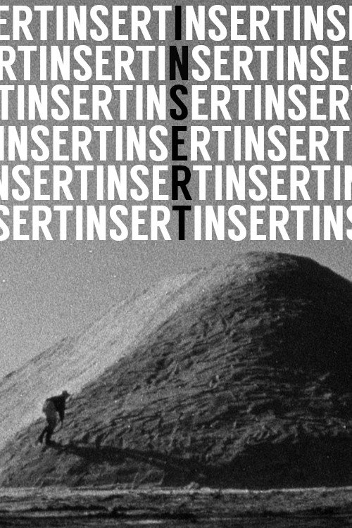 Movie poster for Insert (2010)