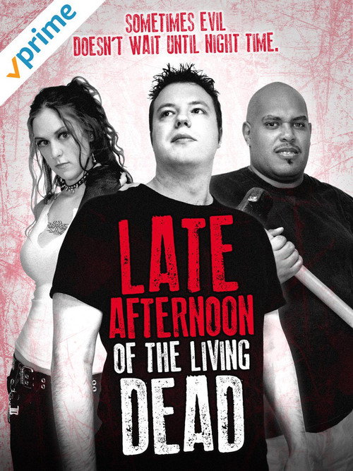 Movie poster for Late Afternoon of the Living Dead (2007)