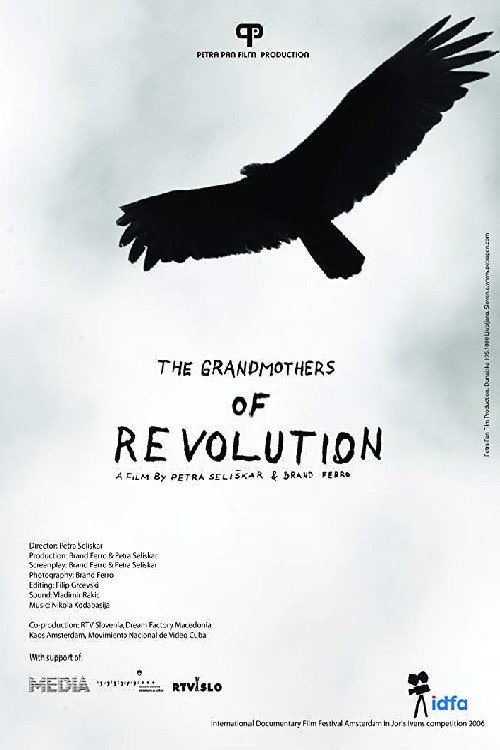 Movie poster for The Grandmothers of the Revolution (2006)