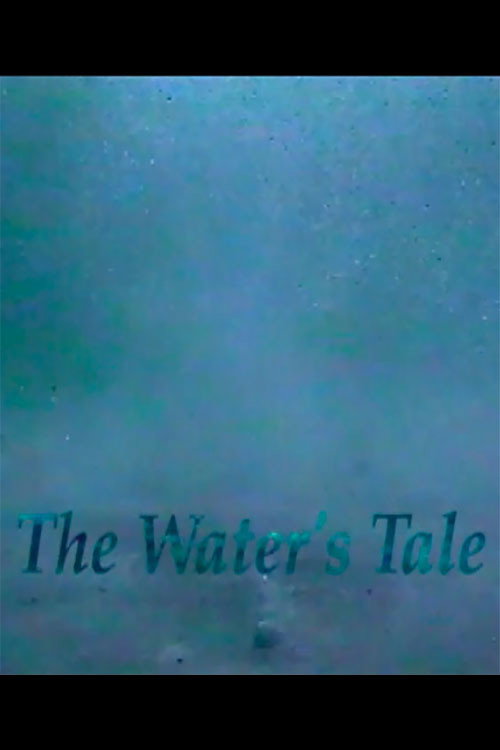 Movie poster for The Water's Tale (1995)