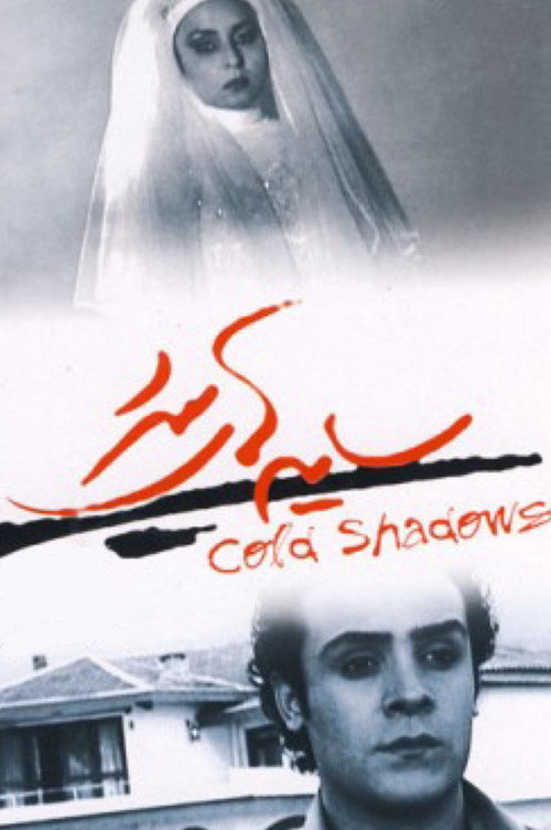 Movie poster for Cold Shadows (2004)
