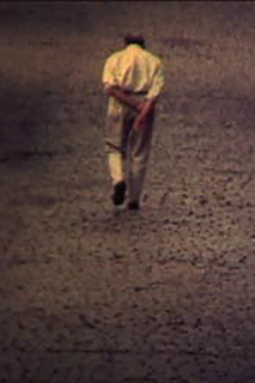 Movie poster for Accident (2006)