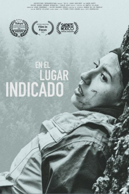 Movie poster for En el lugar indicado (2022)